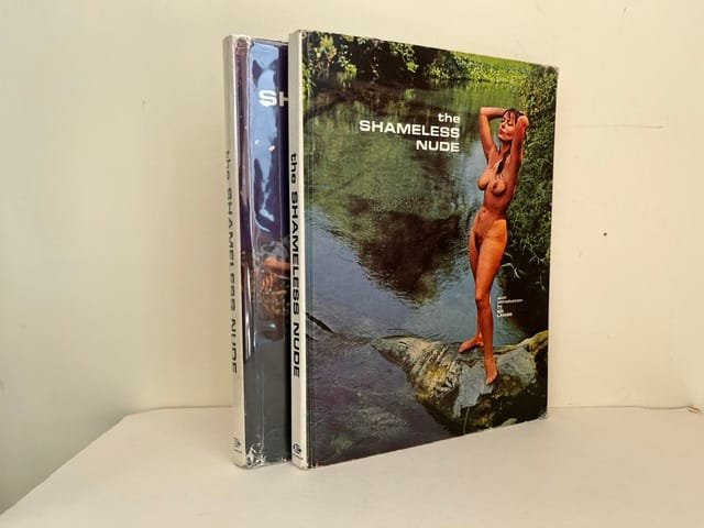 The Shameless Nude - Image 2