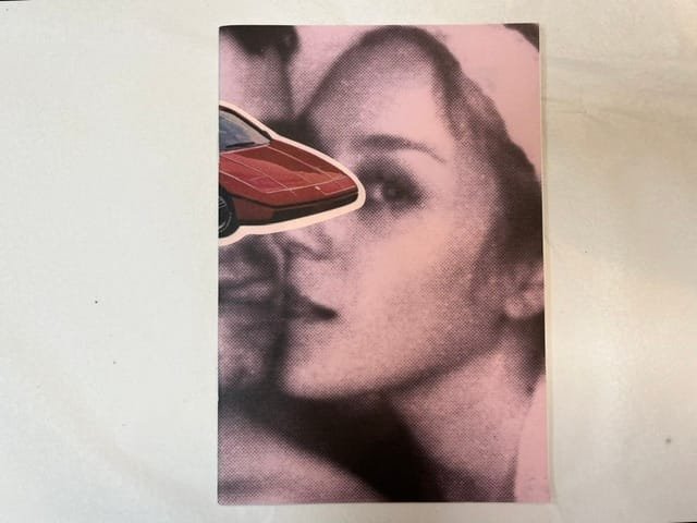 Chloe Sevigny: No Time for Love