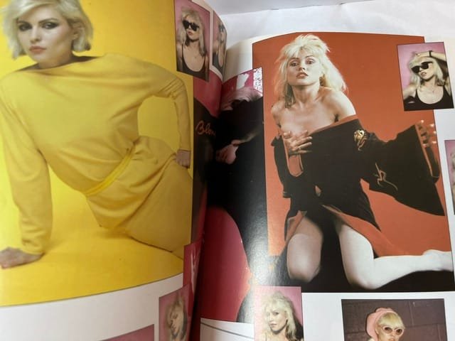 Blondie - Image 3