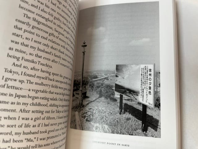 A True Novel - Image 3