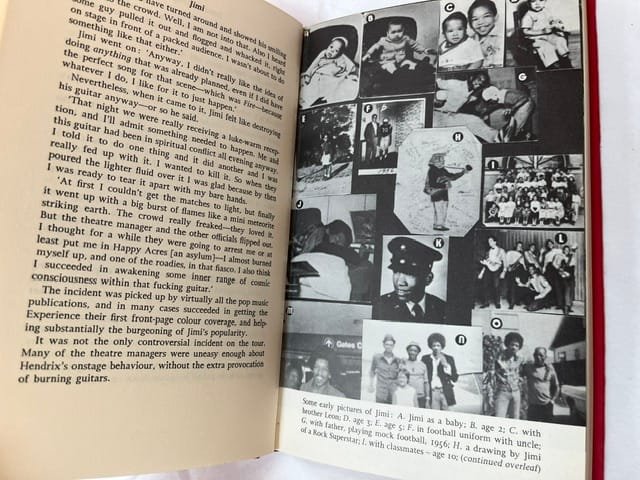 Jimi: An Intimate Biography of Jimi Hendrix - Image 4