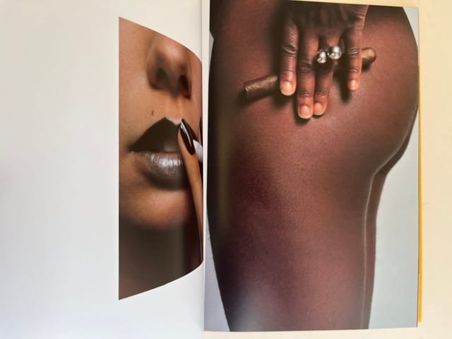 Harri Peccinotti: H.P. A Body of Work - Image 6