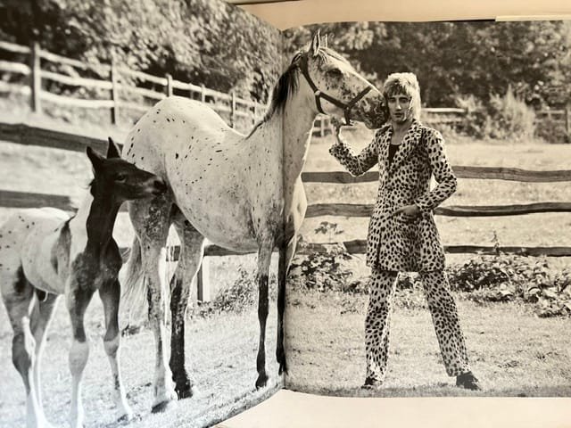 Terry O'Neill: The A-Z of Fame (SIGNED) - Image 3