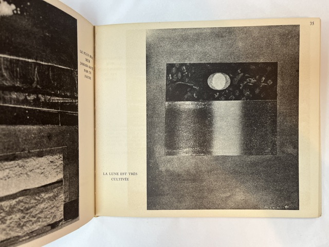 Max Ernst: Journal d'un astronaute millenaire - Image 4