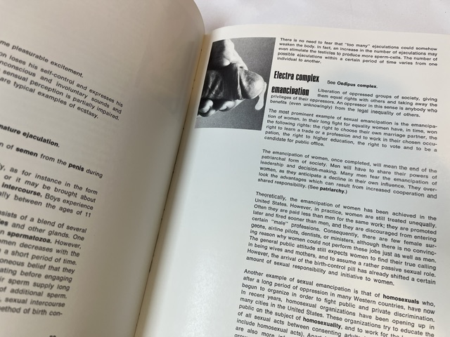 The Sex Book. A Modern Pictorial Encyclopedia - Image 4