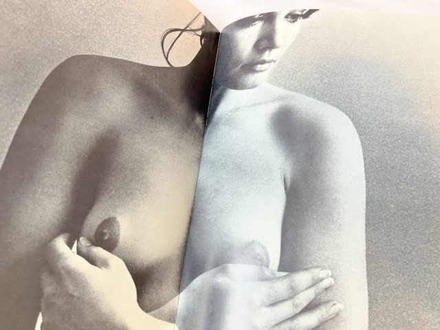 The Sex Book. A Modern Pictorial Encyclopedia - Image 3