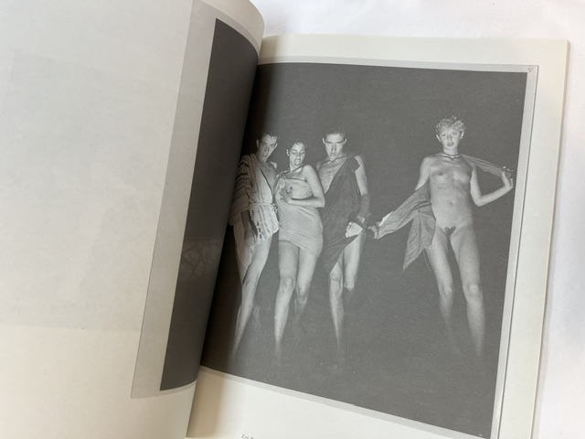 Vincent: The Vincent Darre Purple Book - Image 3