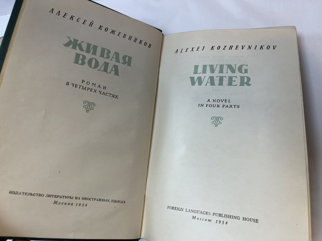 Living Water - Image 4