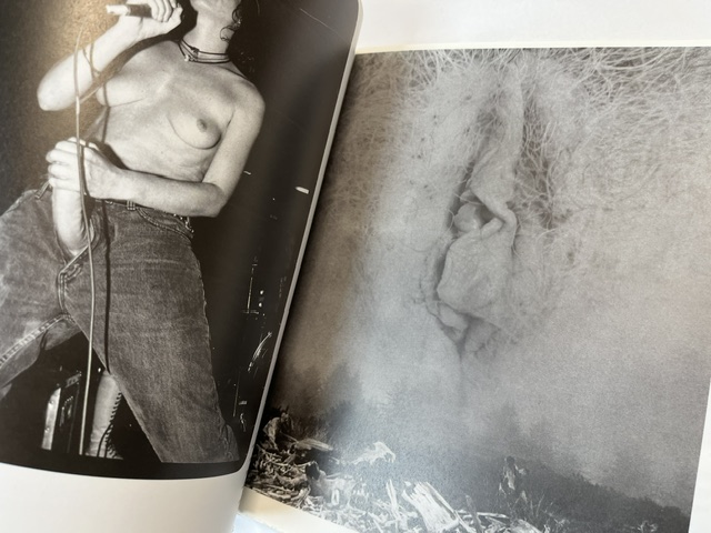 Nothing But the Girl: The Blatant Lesbian Image - Image 3